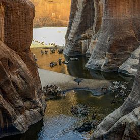 Guelta d’Archei in Tsjaad van Maarten van de Biezen