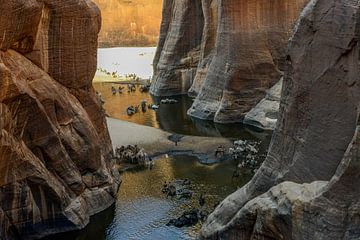 Guelta d’Archei in Tsjaad van Maarten van de Biezen