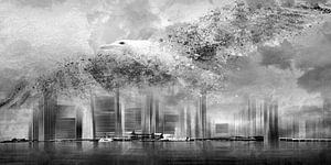 Fantasy Composing NYC & Seagull b/w