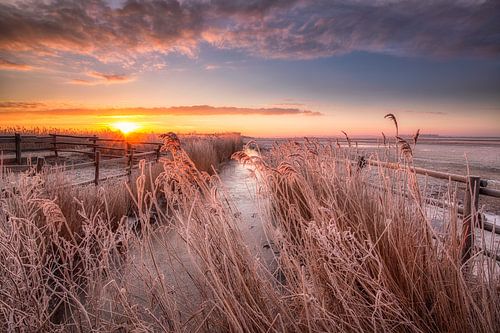 Een prachtige winterse zonsopkomst boven het Nationaal Park Lauwersmeer