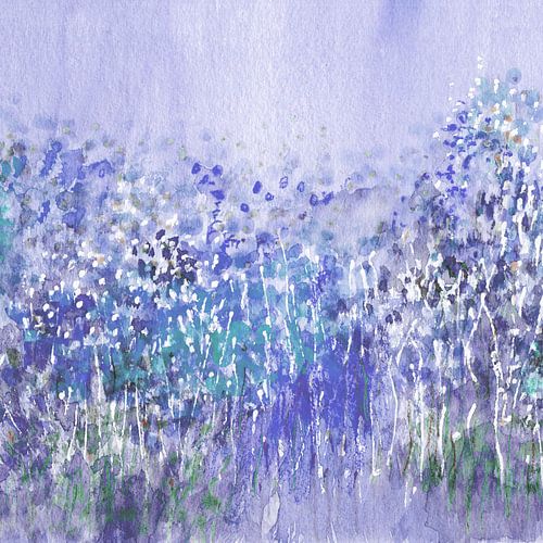 filigraanbloem weideviooltje