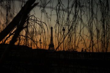 Eiffel Tower during sunset, Paris. by Bart van der Heijden