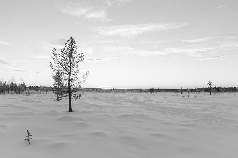 Off Route von DsDuppenPhotography