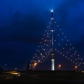 De grootste Kerstboom van de wereld schittert weer over Utrecht