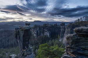 Wehlnadel Sächsische Schweiz