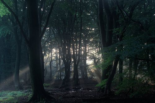 Straal met alle kracht