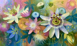 Passiflora van Jacky