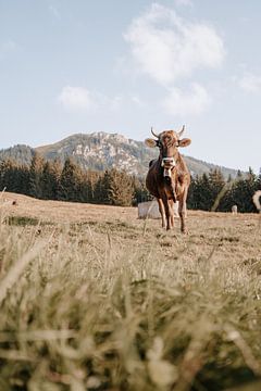 Douce vache de l'Allgäu avec vue sur le Grünten (tons terre) sur Leo Schindzielorz