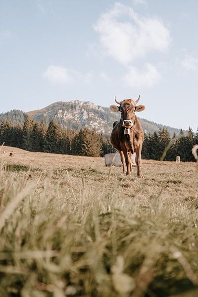 Lieve Allgäu koe met uitzicht op de Grünten (aardetinten) van Leo Schindzielorz