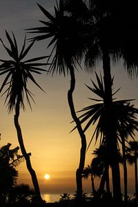 Playa Amadores Gran Canaria