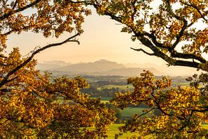 Herbstlicher Ausblick auf den Wächter des Allgäus