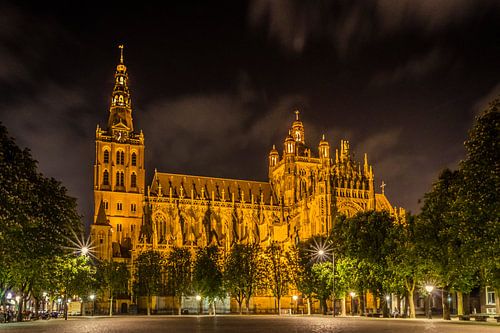 St. John's Cathedral in 's-Hertogenbosch at night.
