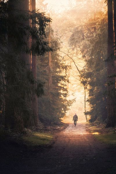Un randonneur lors d'un magnifique lever de soleil par Jaimy Leemburg Fotografie