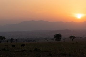 Timeless landscape - Where Kidepo touches the sky by Rick Massar