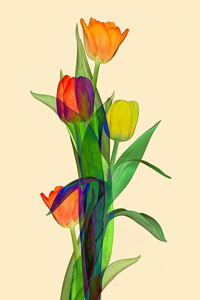fantaisie de tulipes aux multiples couleurs II par Klaartje Majoor