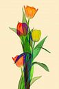 fantaisie de tulipes aux multiples couleurs II sur Klaartje Majoor Aperçu