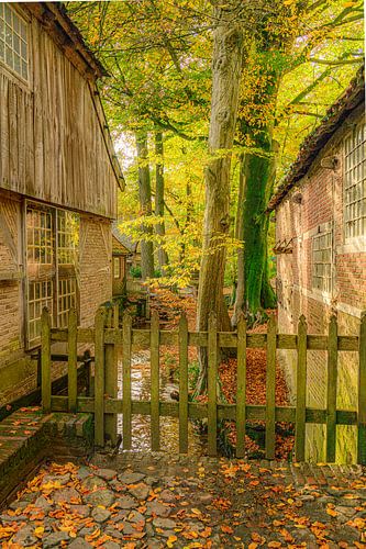 Bels Watermolen en Mosbeek tijdens een mooie herfstdag