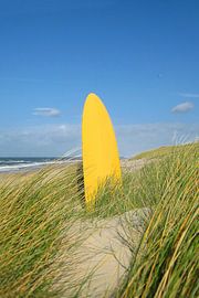 Wachten op de perfecte golf van Theodor Decker