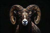 Portrait of an Aries against a Black Background by Art & Soul Creations thumbnail