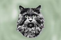 Zwart wit portret langharige kat met groene ogen van Maud De Vries thumbnail