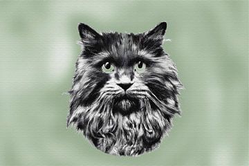 Portrait noir et blanc d'un chat à poils longs aux yeux verts sur Maud De Vries