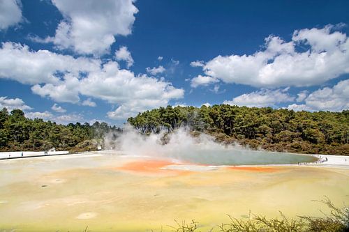 Champagne Pool in the Wai-o-Tapu Geothermal Area, New Zealand