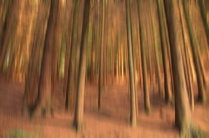 Bäume by Gabi Siebenhühner