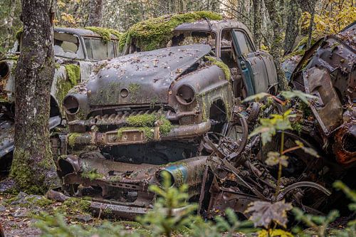 Roestige erfenissen in het bos - autokerkhof in Zweden