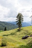 View in the Italian mountains