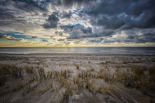 Zonsondergang Maasvlakte