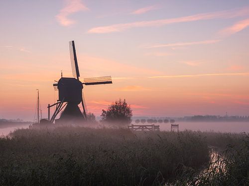 Museummolen Blokweer van Elise van den Boogaart