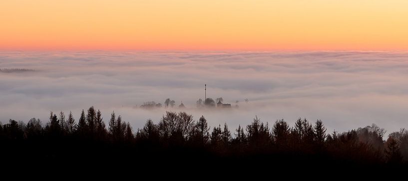 Glockenberg im Nebel Panorama von Harzwald Fotograf