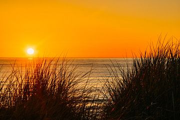 Zonsondergang aan de kust van Texel van Fotos by Angelique