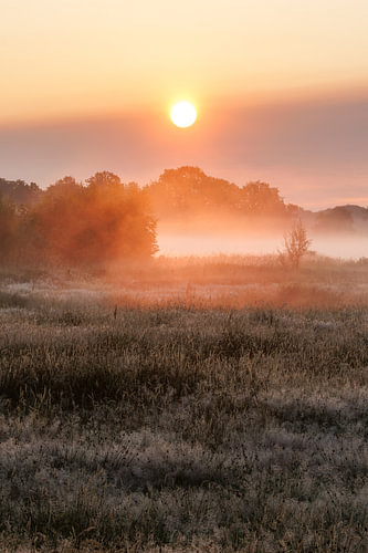 Zomerse zonsopkomst bij het Rondgors