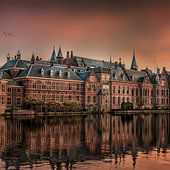 The Hague
