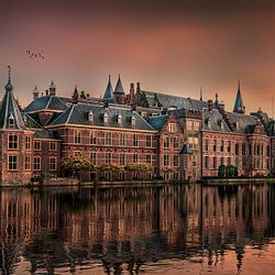 the Hague