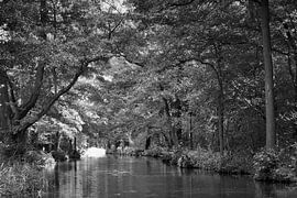 Fluss im Spreewald mit Spiegelungen im klaren Wasser, in Schwarzweiß
