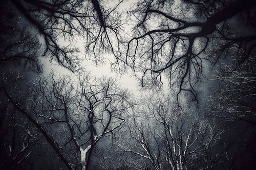 Suffocated by nature