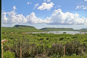 Salines de la baie Sainte-Marie àCuracao sur rene marcel originals