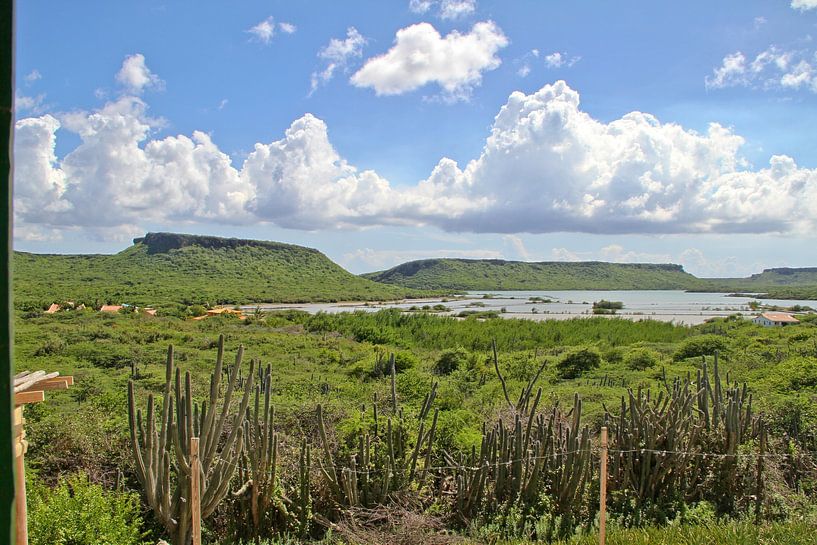 Salt pans of St. Marie Bay on Curacao by rene marcel originals