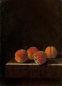 Vier Aprikosen auf einem Steinsockel, Adriaen Coorte, 1698