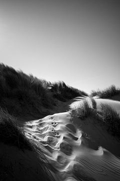 Duinen in Texel van Rick Roeven