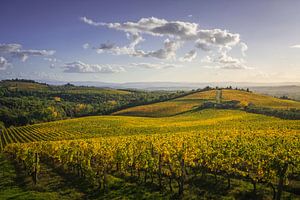 Gaiole in den Weinbergen des Chianti bei Sonnenuntergang. Toskana, Italien