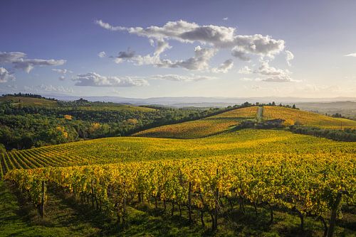 Gaiole in Chianti wijngaarden bij zonsondergang. Toscane, Italië