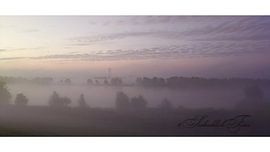 Mystische Morgenstimmung ✨  Das Tor zur Stille – Limitierte Fine Art Fotografie von #SeelenblickFotos