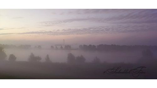 Mystieke ochtendsfeer ✨ De poort naar stilte - limited edition fine art fotografie