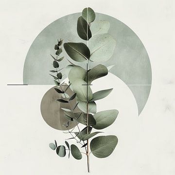 Geometrische eucalyptus van Felix Brönnimann