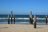 Palendorp in Petten aan Zee.