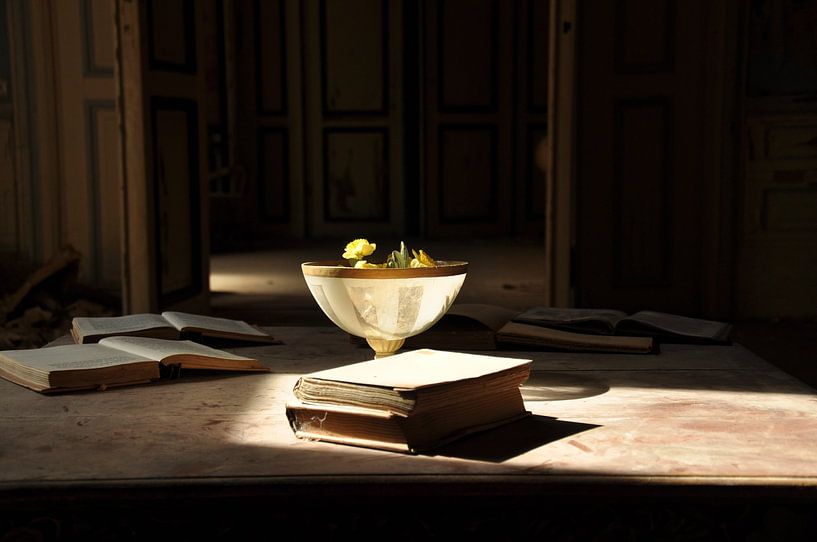 Vaas met boeken in het licht von Roy Coumans