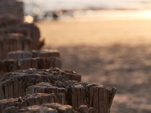Paalhoofd Ameland bij zonsondergang